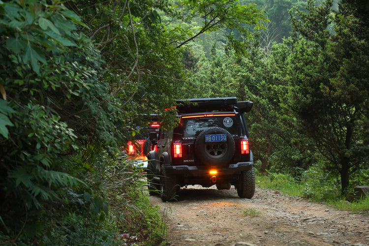 image of suvs overlanding